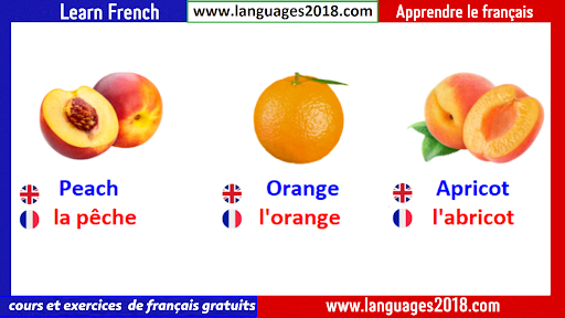 Android application Learn French -Français Facile screenshort