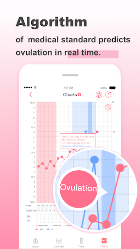 Shecare Screen 2