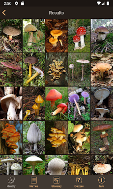 iFunch - Mushrooms identificatのおすすめ画像4