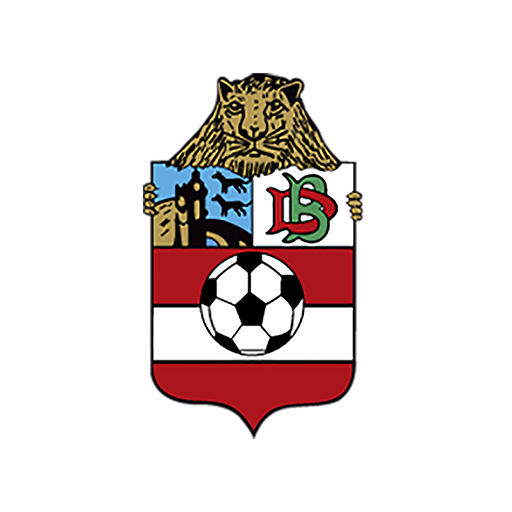 Danok bat logo