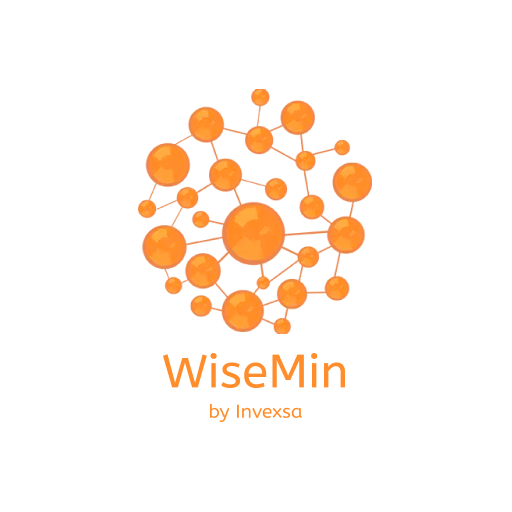 Wisemin logo