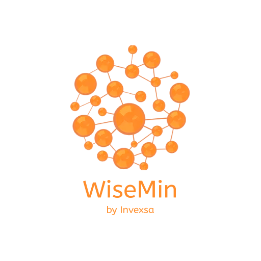 Wisemin