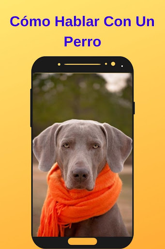 How to Talk to a Dog