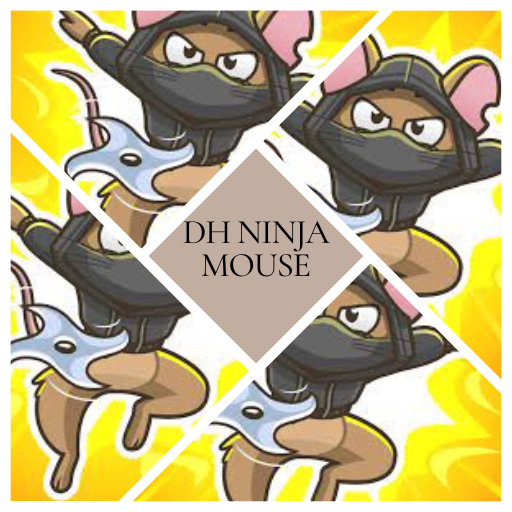 DH Ninja Mouse