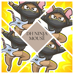DH Ninja Mouse