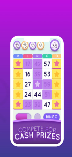 Blackout-Blitz Bingo Adviser