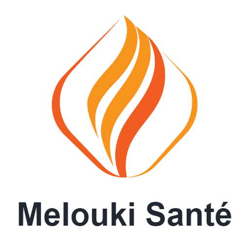 Melouki Santé Download on Windows