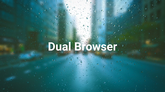 Dual Browser (Paid) Pro Screenshot