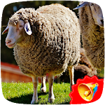 Cover Image of Herunterladen Sheep Sounds  APK