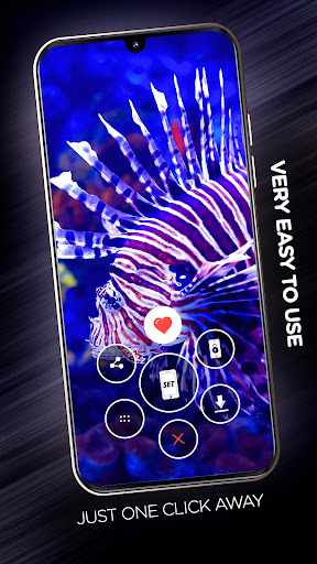 Fishes Wallpapers in 4K Screen 2