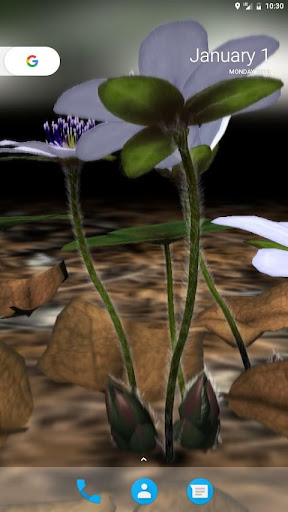 Yukiwarisou 3D Live Wallpaper Screen 3