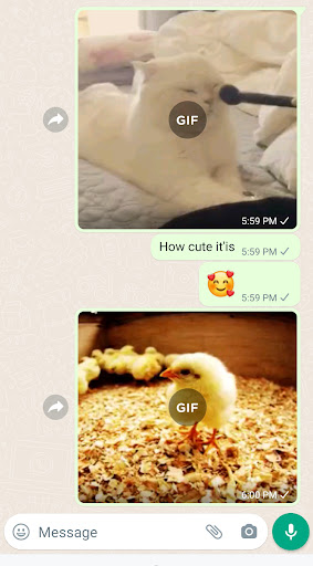 Animals GIFs Screen 3
