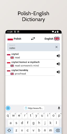 Polish-English Dictionary Screen 3