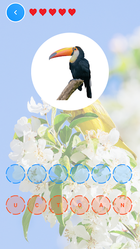 Birds name Letters Screen 3