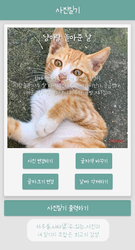 사진일기 - 사진 위에 감성있게 써내려가는 한줄일기 / Screen 3
