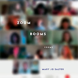 Icon image Zoom Rooms: Poems