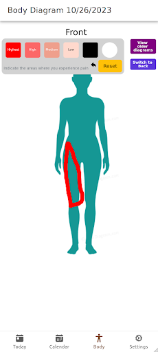 Chronic Pain Journal Screen 2