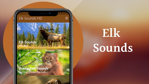 Elk Sounds & Hunting Calls Screen 2