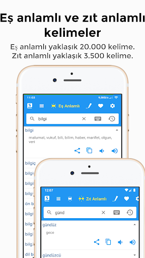 Wide Turkish Dictionary Screen 3