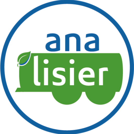 analisier logo