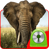 Elephant Theme for GO Locker icon