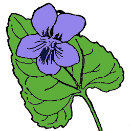 New Brunswick Wildflowers: Download & Review