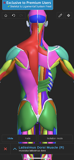 Screenshot of Visual Anatomy 3D - Human body