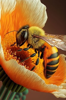 Bee Wallpapersのおすすめ画像4