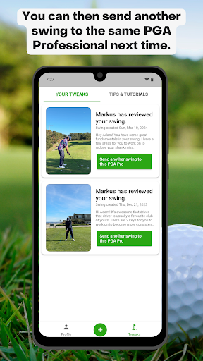 Screenshot of Swingtweaks