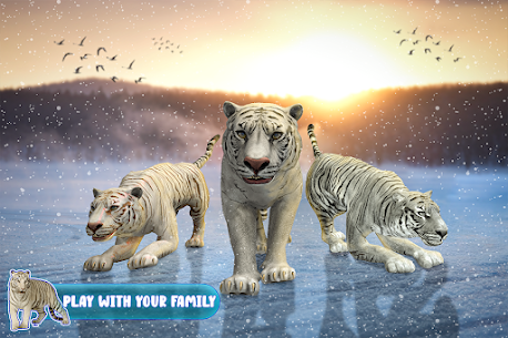 Snow Tiger Family 1