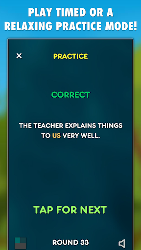 Pronouns Grammar Test Screen 3