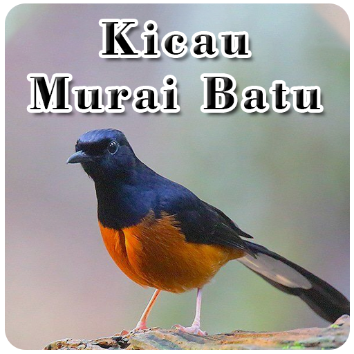 Kicau Burung Murai Batu logo