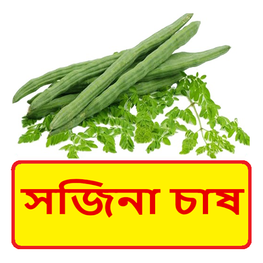 সজিনা চাষের পদ্ধতি logo
