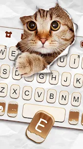 Curious Cat Keyboard Backgroun