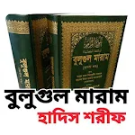 Cover Image of 下载 বুলুগুল মারাম  APK