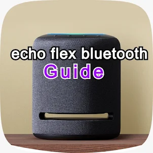 echo flex bluetooth guide