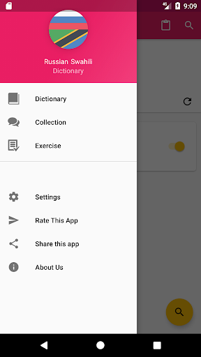 Android application Russian Swahili Dictionary screenshort