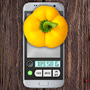 Kitchen scale simulator icon