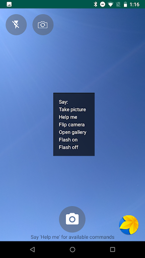 VoCoCam Voice Controlled Came