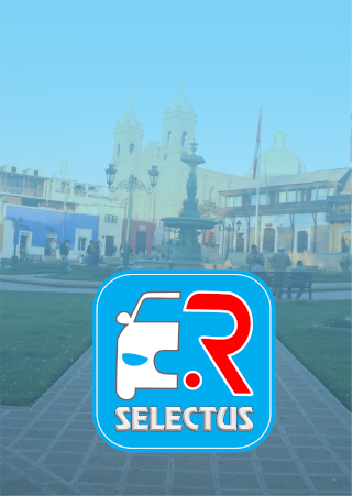 Radio Taxi Royal - Conductor Screen 2