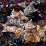 Cats Dogs Jigsaw Puzzles HD icon