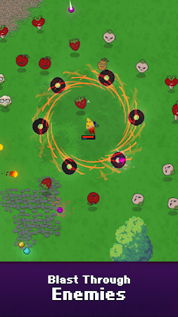 Game screenshot Pizza Hero apk download