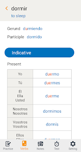 Basket for Spanish - verb conjugations 1.1.3 APK screenshots 5