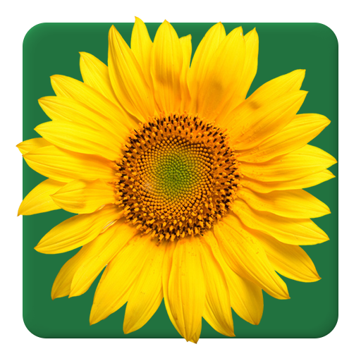 Logo Calflora Observer Pro