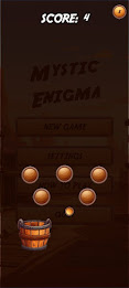 Mystic Enigma poster 13