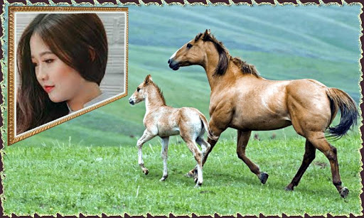Animal Different Photo Frames Screen 3