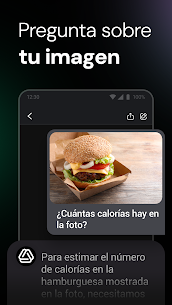 ChatOn Pro – Chat de IA en español 5