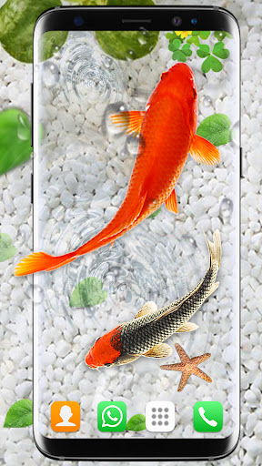 Koi Fish Live Wallpapers HD - Apps on Google Play