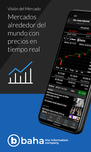 Vista previa de la aplicación