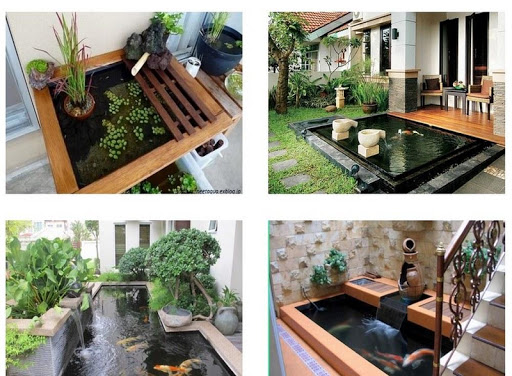 The fish pond at home Screen 3